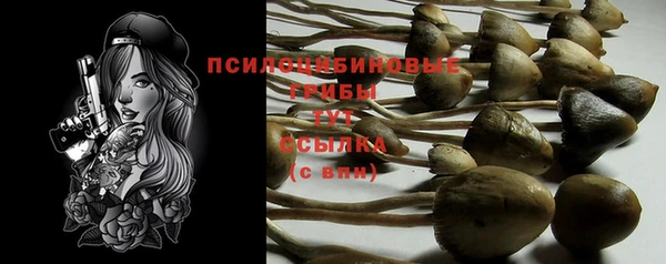 прущие крисы Магас