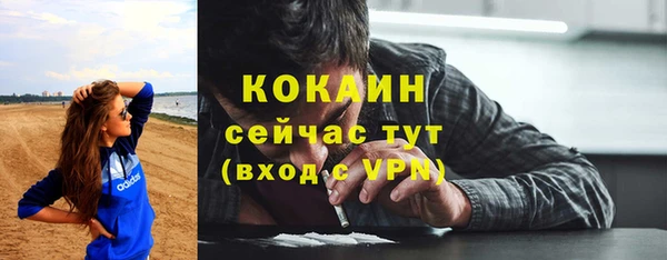 прущие крисы Магас