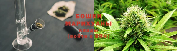 прущие крисы Магас