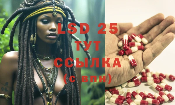 прущие крисы Магас